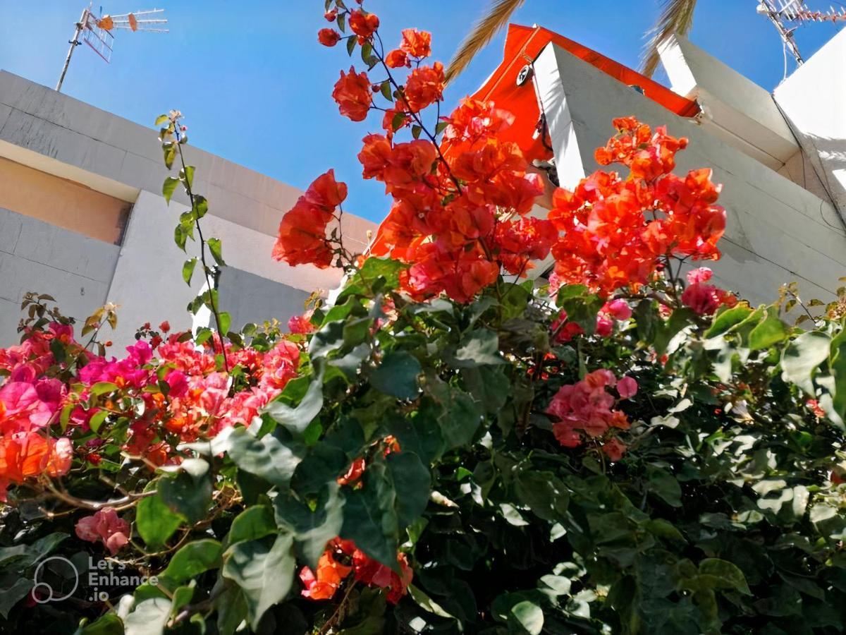 Primavera Tenerife Apartment Costa Del Silencio Exterior photo